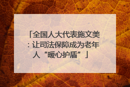 全国人大代表施文美：让司法保障成为老年人“暖心护盾”