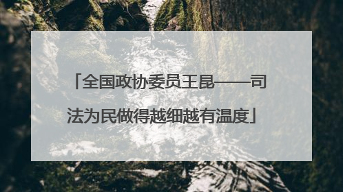 全国政协委员王昆——司法为民做得越细越有温度
