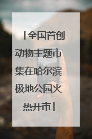 全国首创动物主题市集在哈尔滨极地公园火热开市