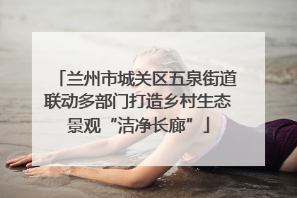 兰州市城关区五泉街道联动多部门打造乡村生态景观“洁净长廊”