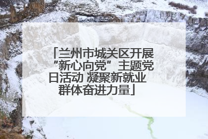 兰州市城关区开展“新心向党”主题党日活动 凝聚新就业群体奋进力量