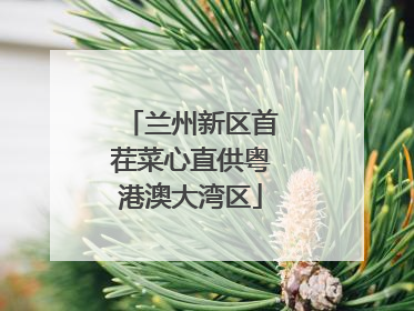 兰州新区首茬菜心直供粤港澳大湾区