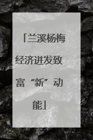 兰溪杨梅经济迸发致富“新”动能