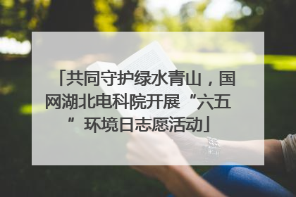 共同守护绿水青山，国网湖北电科院开展“六五”环境日志愿活动