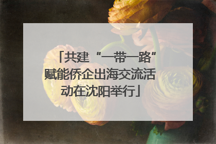 共建“一带一路”赋能侨企出海交流活动在沈阳举行
