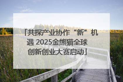 共探产业协作“新”机遇 2025金熊猫全球创新创业大赛启动