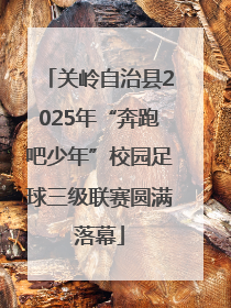 关岭自治县2025年“奔跑吧少年”校园足球三级联赛圆满落幕