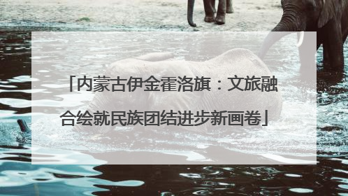 内蒙古伊金霍洛旗：文旅融合绘就民族团结进步新画卷