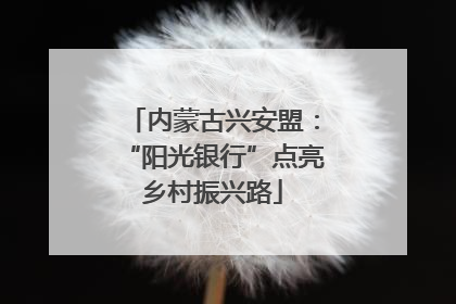 内蒙古兴安盟：“阳光银行”点亮乡村振兴路
