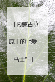 内蒙古草原上的“爱马士”