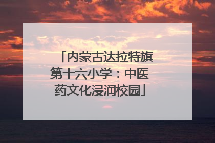 内蒙古达拉特旗第十六小学：中医药文化浸润校园