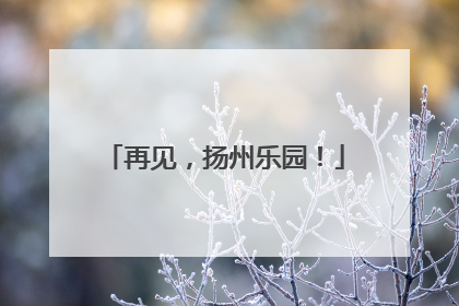 再见，扬州乐园！