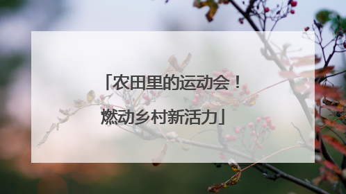 农田里的运动会！燃动乡村新活力