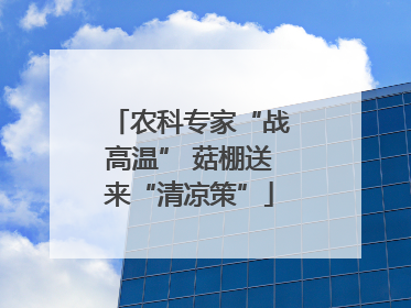 农科专家“战高温” 菇棚送来“清凉策”