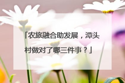 农旅融合助发展，潭头村做对了哪三件事？