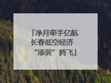 净月牵手亿航 长春低空经济“添翼”腾飞