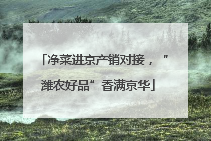 净菜进京产销对接，“潍农好品”香满京华