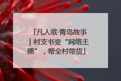 凡人歌·青岛故事｜村支书变“网络主播”，帮全村带货