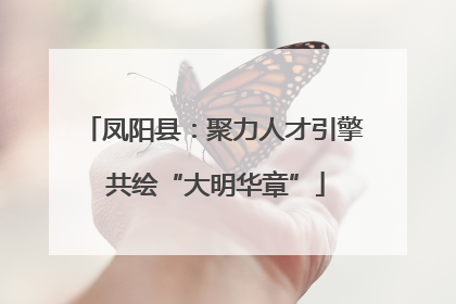 凤阳县：聚力人才引擎 共绘“大明华章”