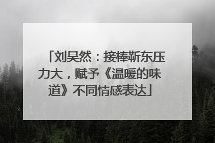 刘昊然：接棒靳东压力大，赋予《温暖的味道》不同情感表达