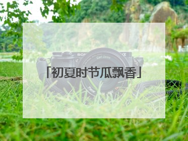 初夏时节瓜飘香