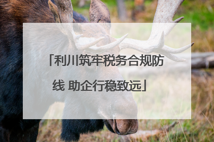 利川筑牢税务合规防线 助企行稳致远