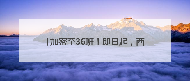加密至36班！即日起，西海岸往返青岛机场巴士升级