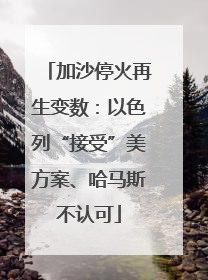 加沙停火再生变数：以色列“接受”美方案、哈马斯不认可