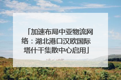加速布局中亚物流网络：湖北港口汉欧国际塔什干集散中心启用