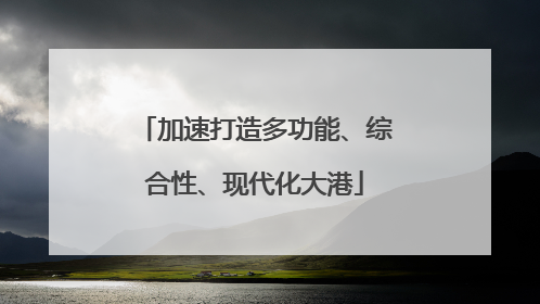 加速打造多功能、综合性、现代化大港
