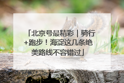 北京号最精彩｜骑行+跑步！海淀这几条绝美路线不容错过