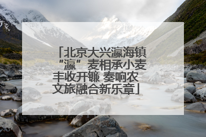 北京大兴瀛海镇“瀛”麦相承小麦丰收开镰 奏响农文旅融合新乐章