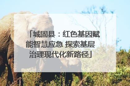 城固县：红色基因赋能智慧应急 探索基层治理现代化新路径