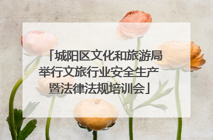 城阳区文化和旅游局举行文旅行业安全生产暨法律法规培训会