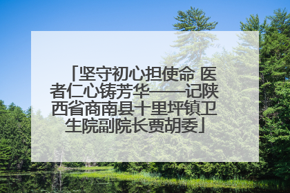 坚守初心担使命 医者仁心铸芳华——记陕西省商南县十里坪镇卫生院副院长贾胡委