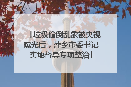 垃圾偷倒乱象被央视曝光后，萍乡市委书记实地督导专项整治