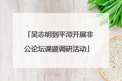 吴志明到平潭开展非公论坛课题调研活动