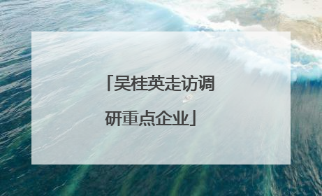 吴桂英走访调研重点企业