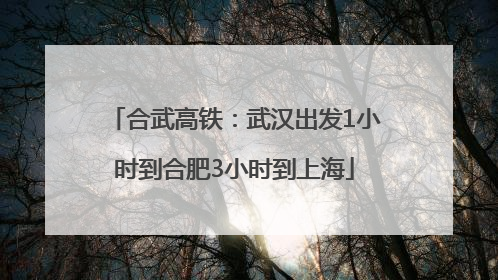 合武高铁：武汉出发1小时到合肥3小时到上海