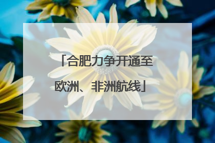合肥力争开通至欧洲、非洲航线