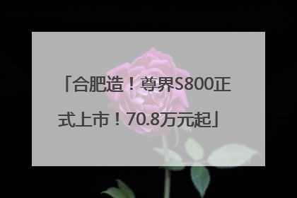 合肥造！尊界S800正式上市！70.8万元起