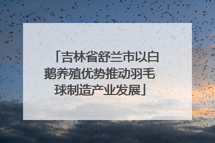 吉林省舒兰市以白鹅养殖优势推动羽毛球制造产业发展