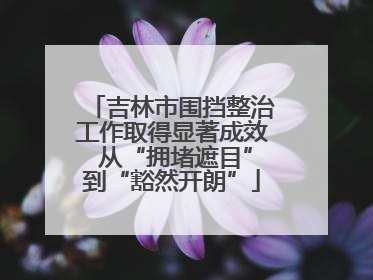 吉林市围挡整治工作取得显著成效 从“拥堵遮目”到“豁然开朗”