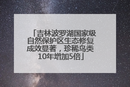 吉林波罗湖国家级自然保护区生态修复成效显著，珍稀鸟类10年增加5倍