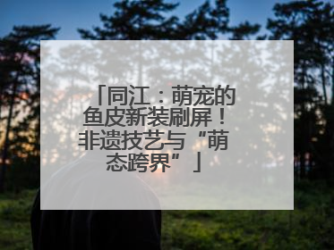 同江：萌宠的鱼皮新装刷屏！非遗技艺与“萌态跨界”