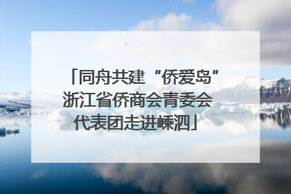 同舟共建“侨爱岛” 浙江省侨商会青委会代表团走进嵊泗