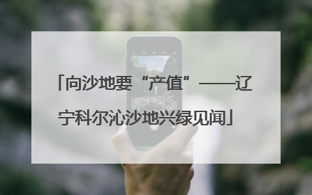 向沙地要“产值”——辽宁科尔沁沙地兴绿见闻
