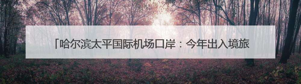 哈尔滨太平国际机场口岸：今年出入境旅客突破30万人次 同比增30.4%