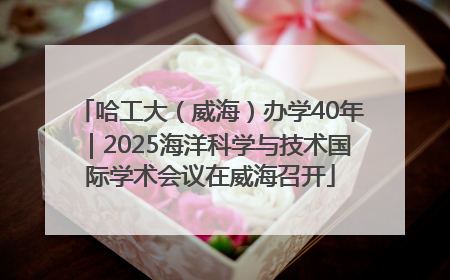 哈工大（威海）办学40年｜2025海洋科学与技术国际学术会议在威海召开