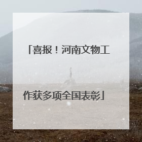喜报！河南文物工作获多项全国表彰